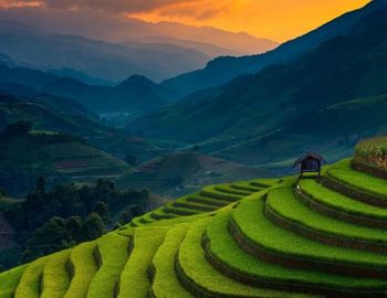 Exploring Holidays India