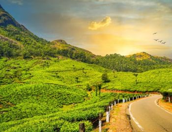 Exploring Holidays India