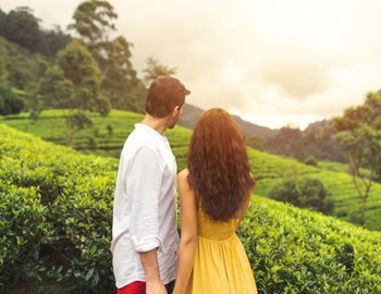 Exploring Holidays India