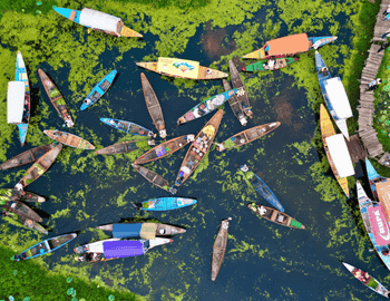 Exploring Holidays India