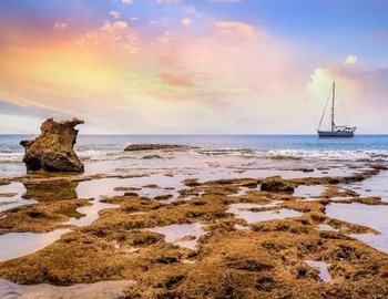 Exploring Holidays India