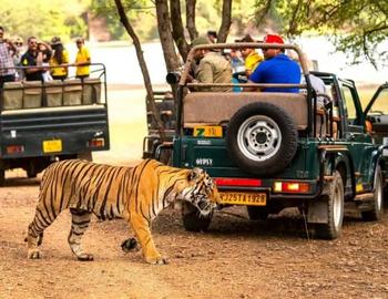 Exploring Holidays India