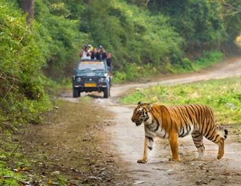 Exploring Holidays India
